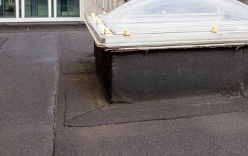 disadvantages of St Weonards flat roofs