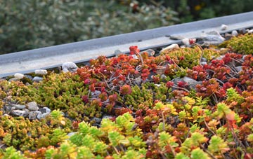 the cost of St Weonards green roof installation
