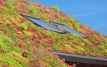 St Weonards living roof systems